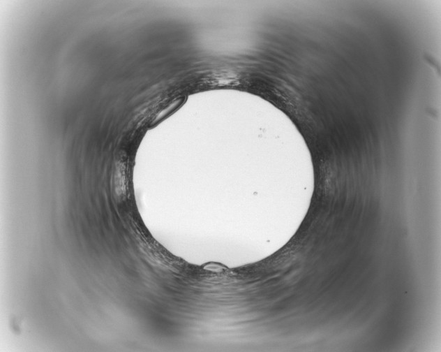 X0000100231442200806271739