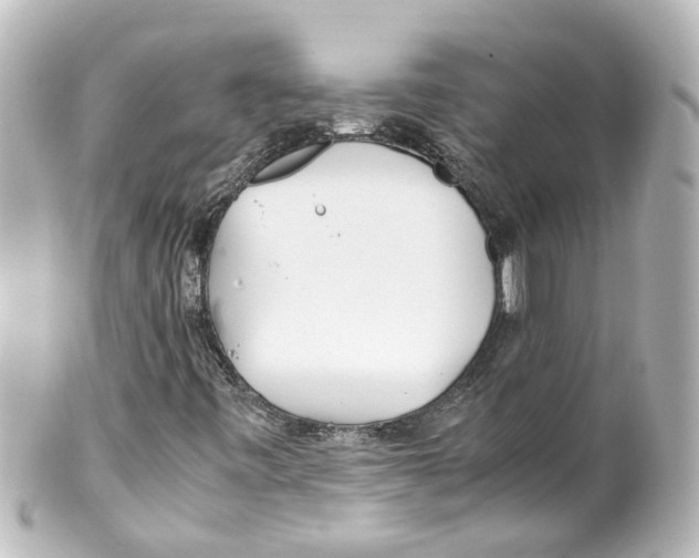 X0000100231443200806271739