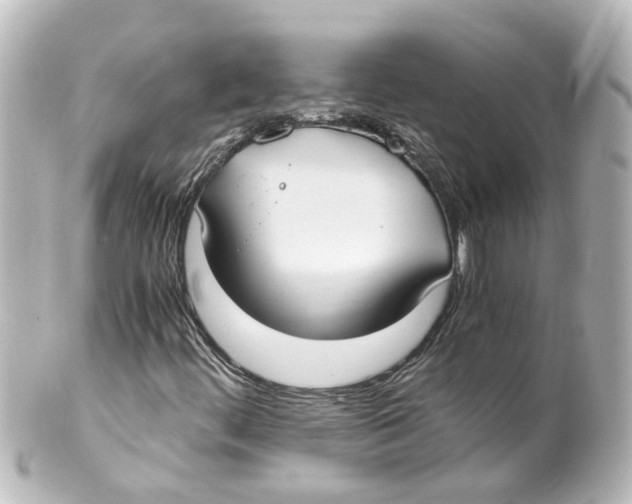 X0000100231444200806271739