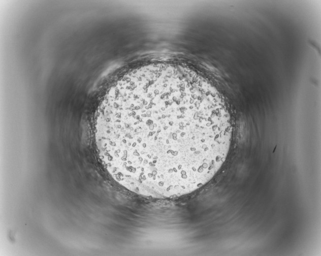 X0000100231446200806271739