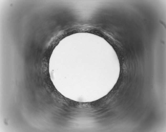 X0000100231447200806271739