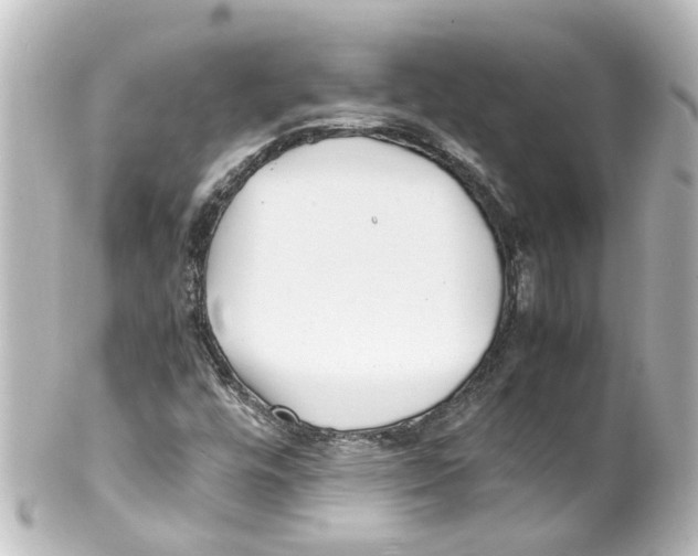 X0000100231448200806271739