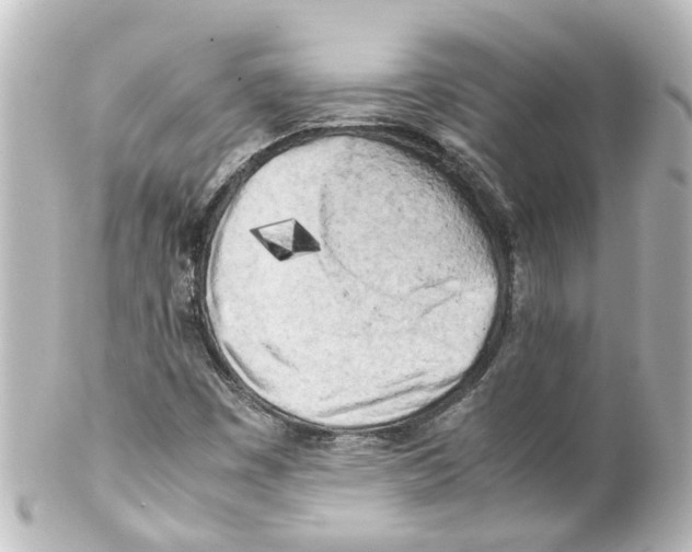 X0000100231449200806271739