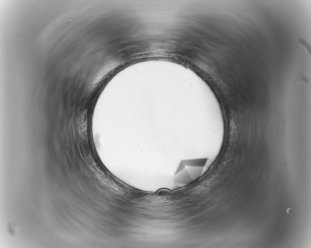X0000100231450200806271739