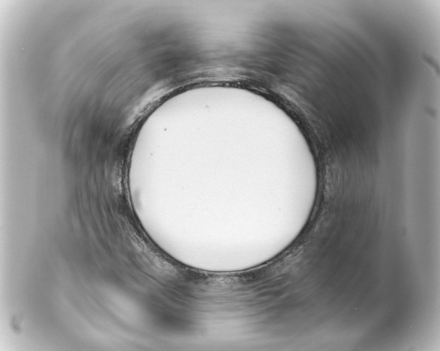 X0000100231451200806271739