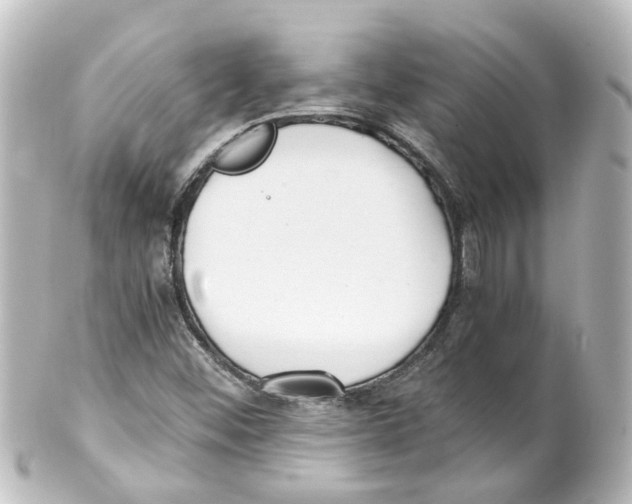 X0000100231452200806271739