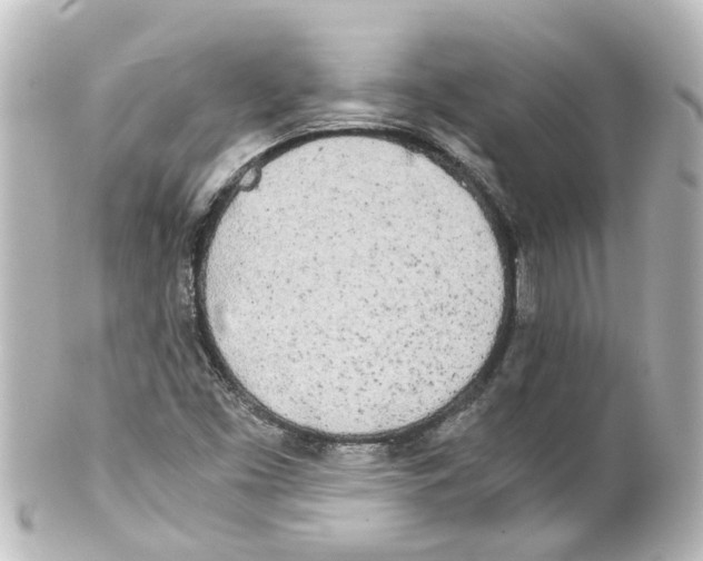 X0000100231453200806271739