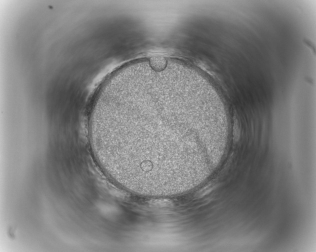 X0000100231454200806271739