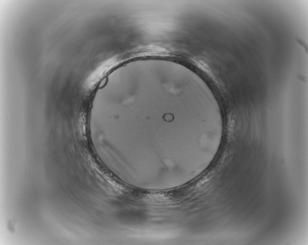 X0000100231455200806271739