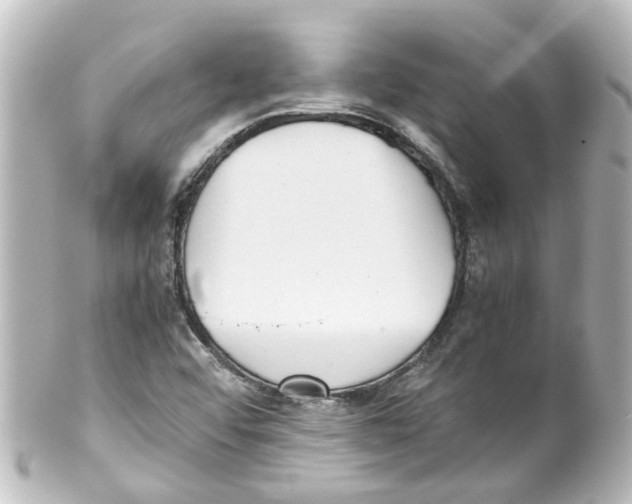 X0000100231456200806271739