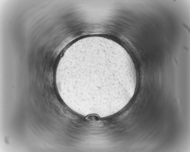 X0000100231457200806271739