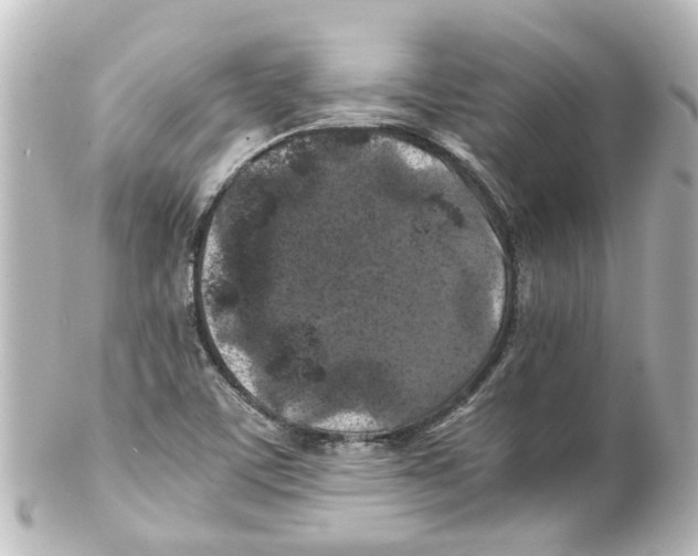 X0000100231459200806271739