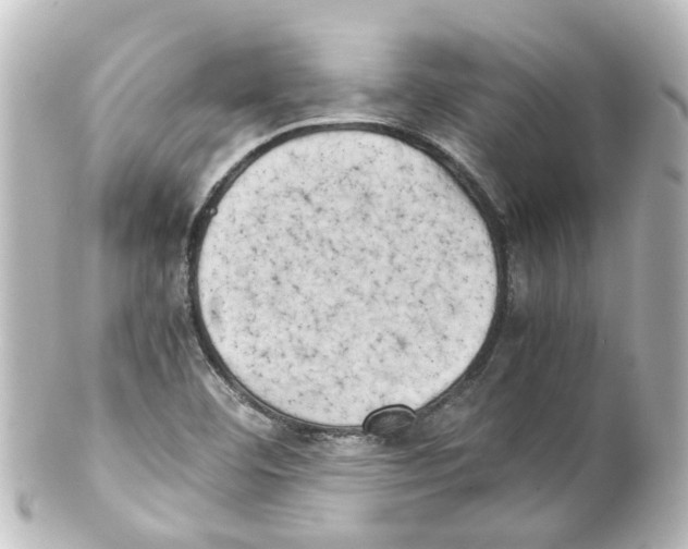 X0000100231460200806271739