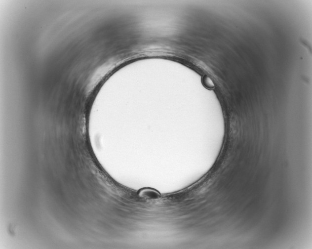 X0000100231461200806271739