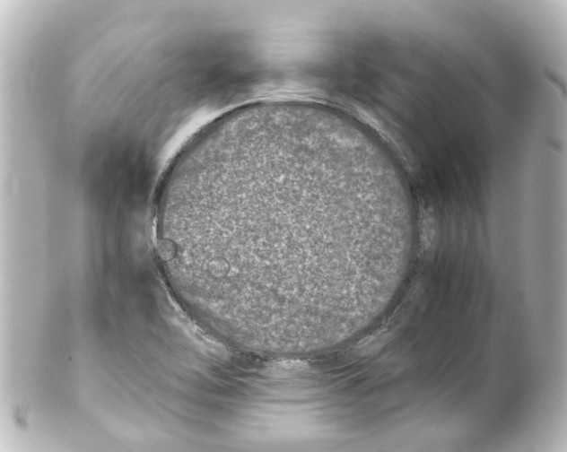 X0000100231462200806271739