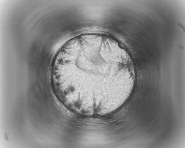 X0000100231463200806271739