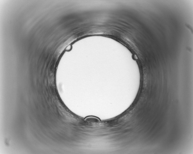 X0000100231465200806271739