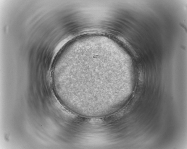 X0000100231466200806271739