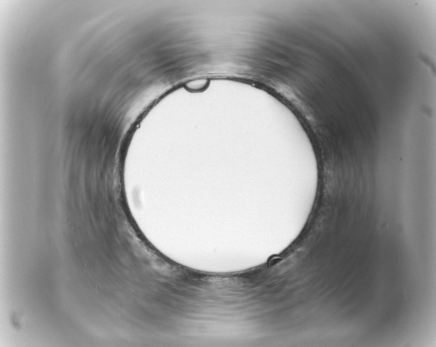 X0000100231469200806271739