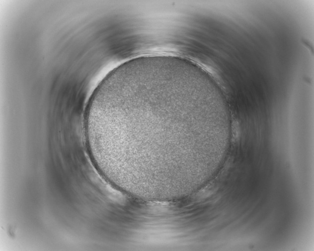 X0000100231470200806271739