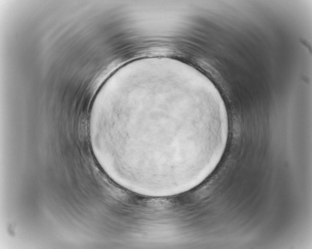 X0000100231473200806271738