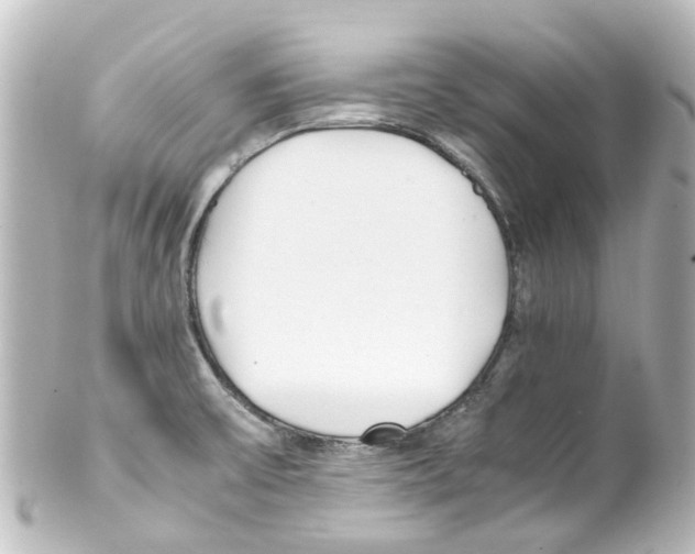 X0000100231475200806271738