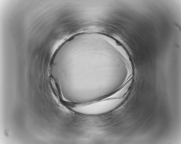 X0000100231477200806271738