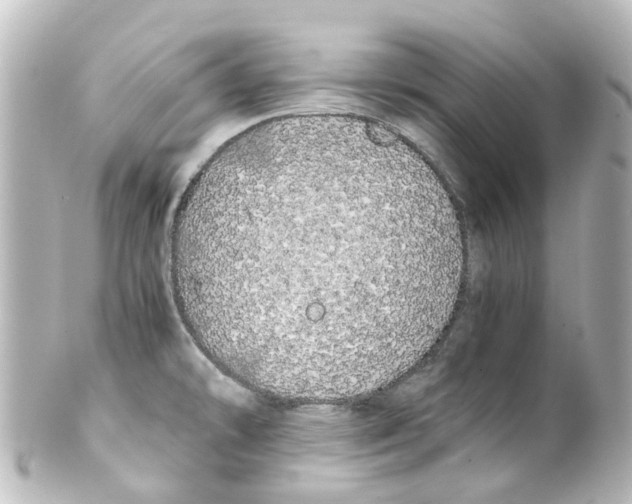 X0000100231478200806271738