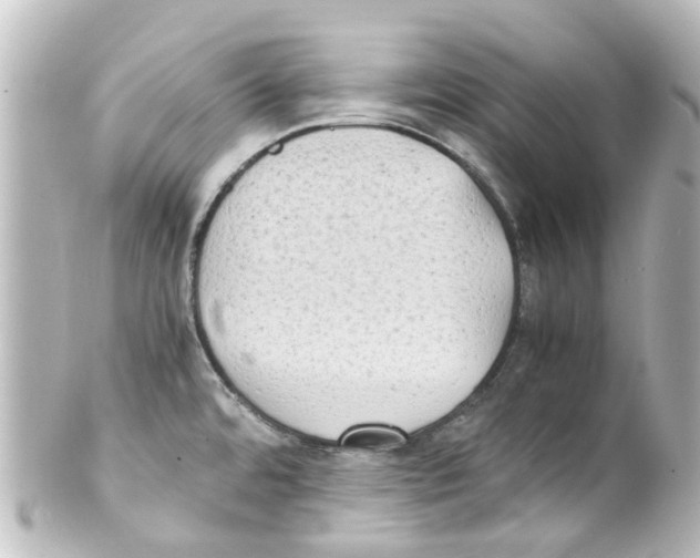 X0000100231480200806271738