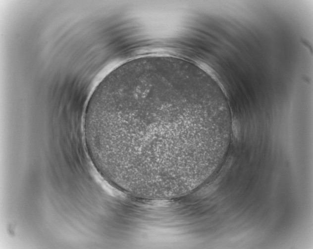 X0000100231482200806271738