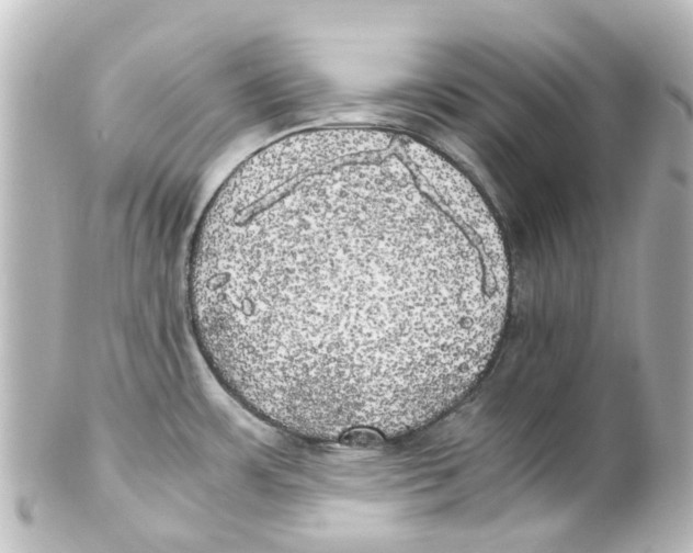 X0000100231483200806271738