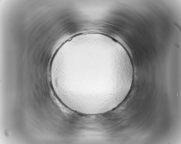 X0000100231485200806271738