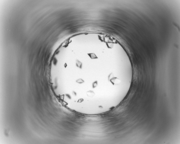 X0000100231486200806271738
