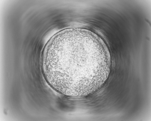 X0000100231487200806271738