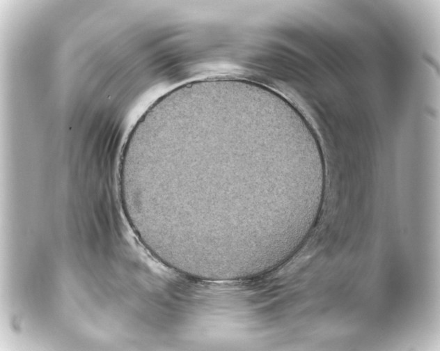 X0000100231488200806271738