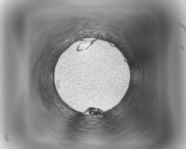 X0000100231489200806271738