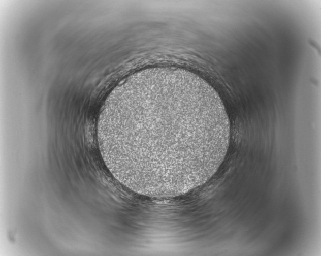 X0000100231490200806271738
