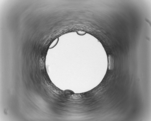 X0000100231491200806271738