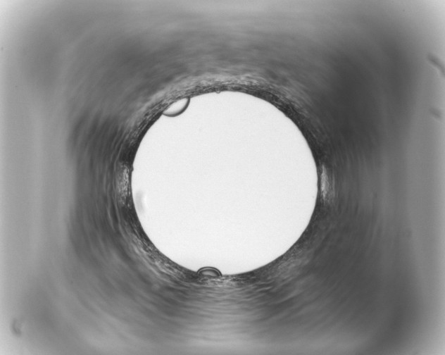 X0000100231492200806271738