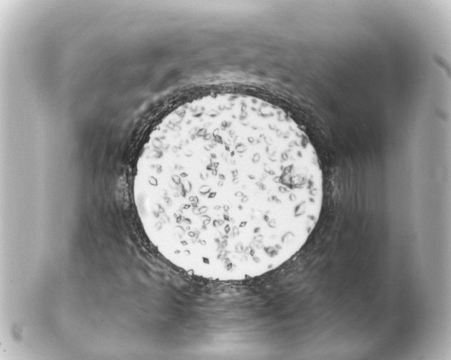 X0000100231493200806271738