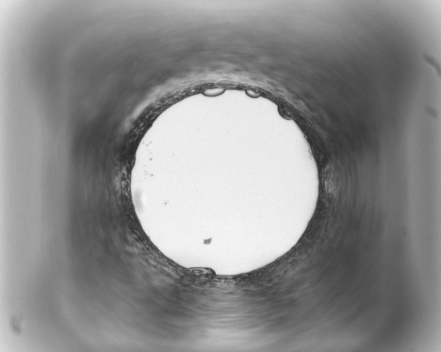 X0000100231495200806271738