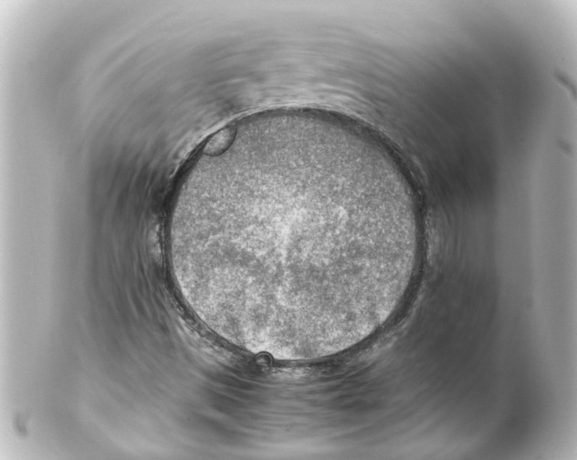 X0000100231497200806271738