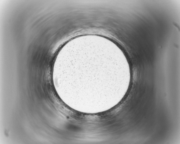 X0000100231498200806271738