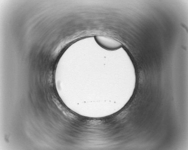X0000100231499200806271738