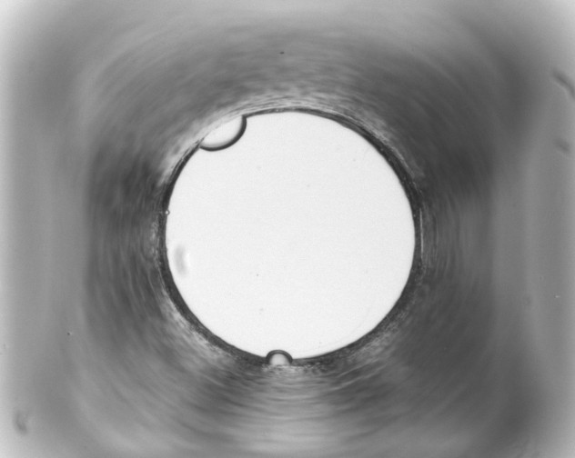 X0000100231500200806271738