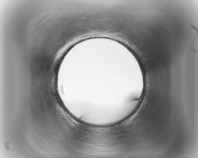 X0000100231502200806271738