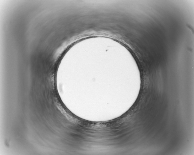X0000100231503200806271738