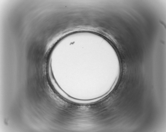 X0000100231504200806271738
