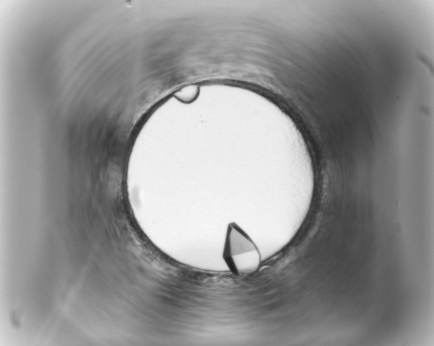 X0000100231505200806271738