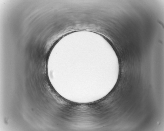 X0000100231507200806271738